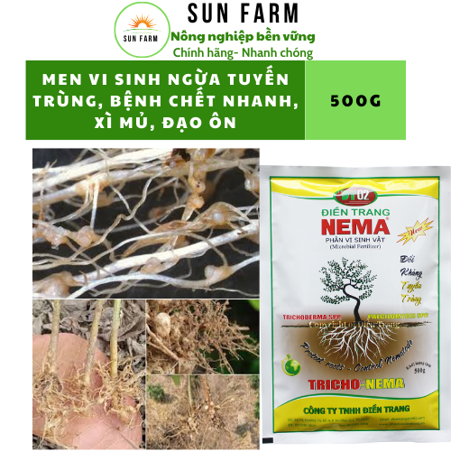 PHÂN VI SINH ĐIỀN TRANG TRICHO NEMA 500G