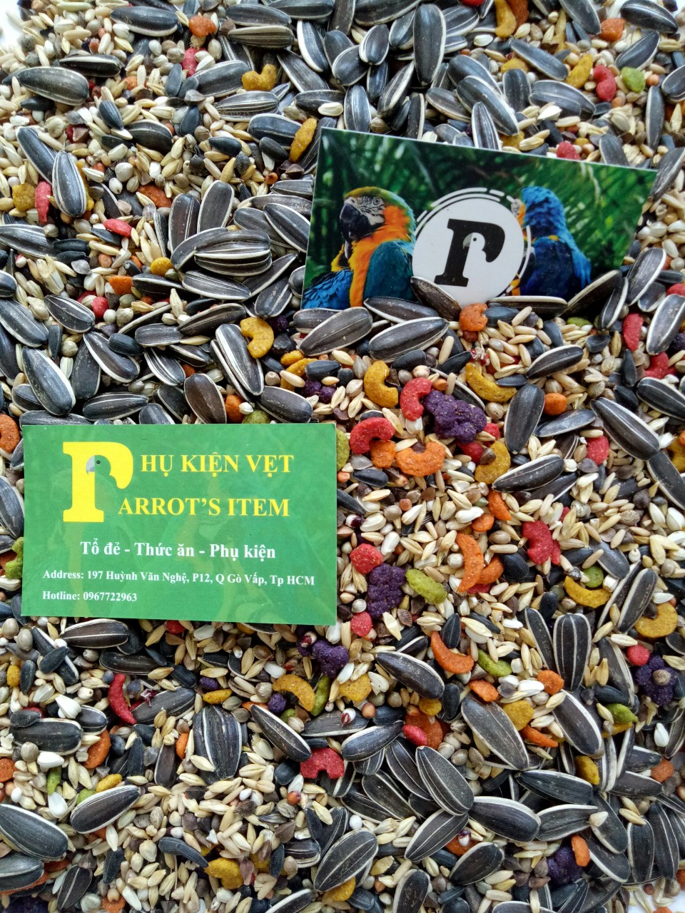1KG HẠT TRỘN KÈM HẠT TRÁI CÂY CHO VẸT XÁM CHÂU PHI, COCKATOO...