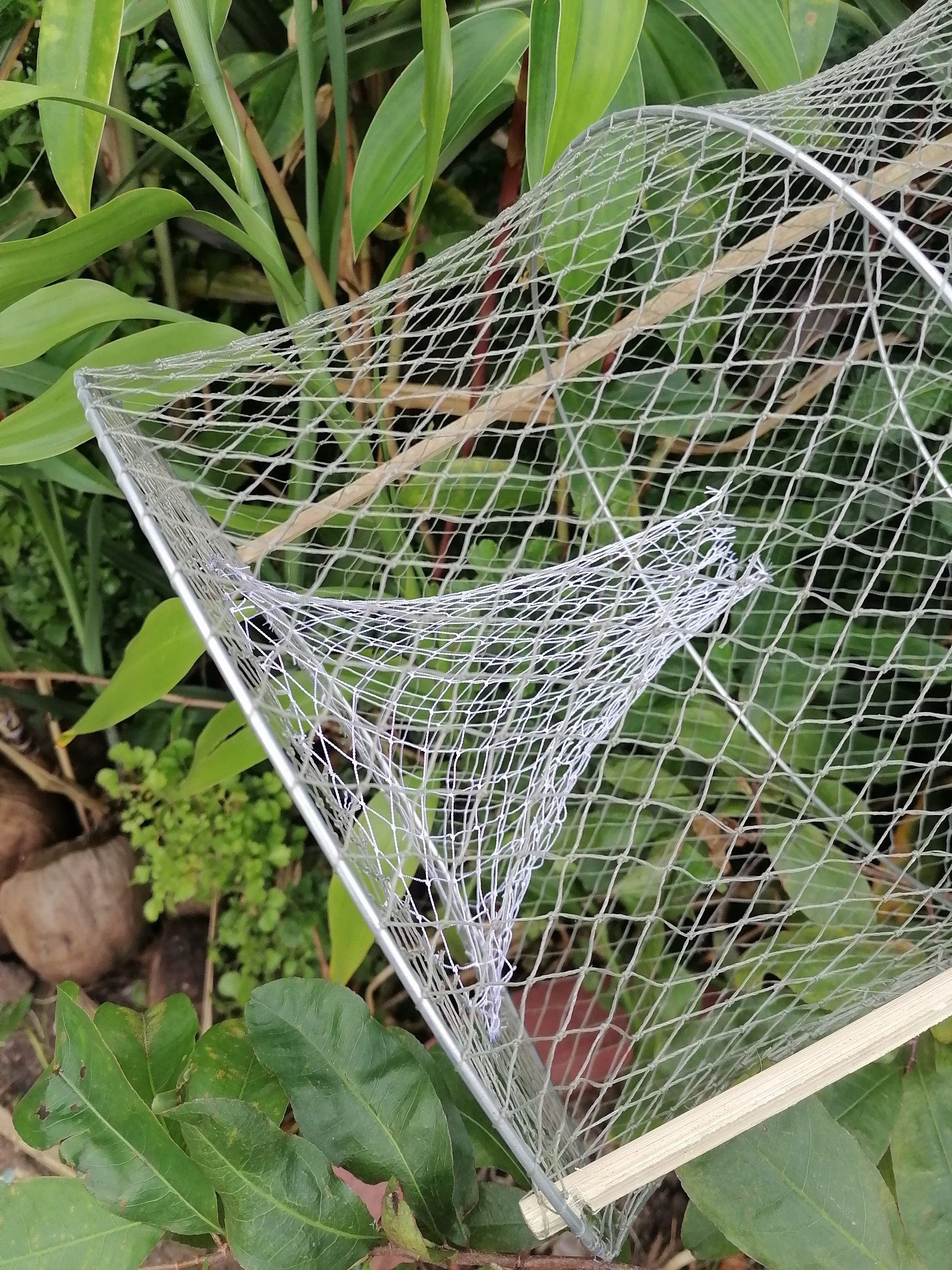 Lờ cá lóc ( Combo 10 cái, 4 Vành Kẽm, 30cm X 50cm )