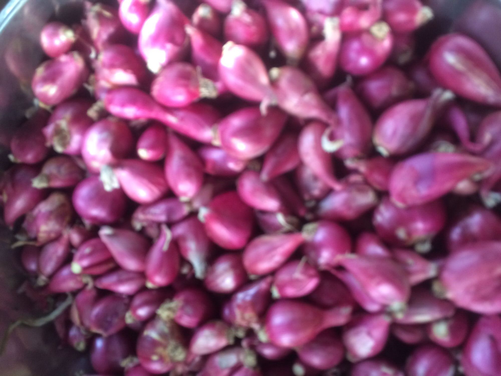 Hành tím Lý Sơn 1kg