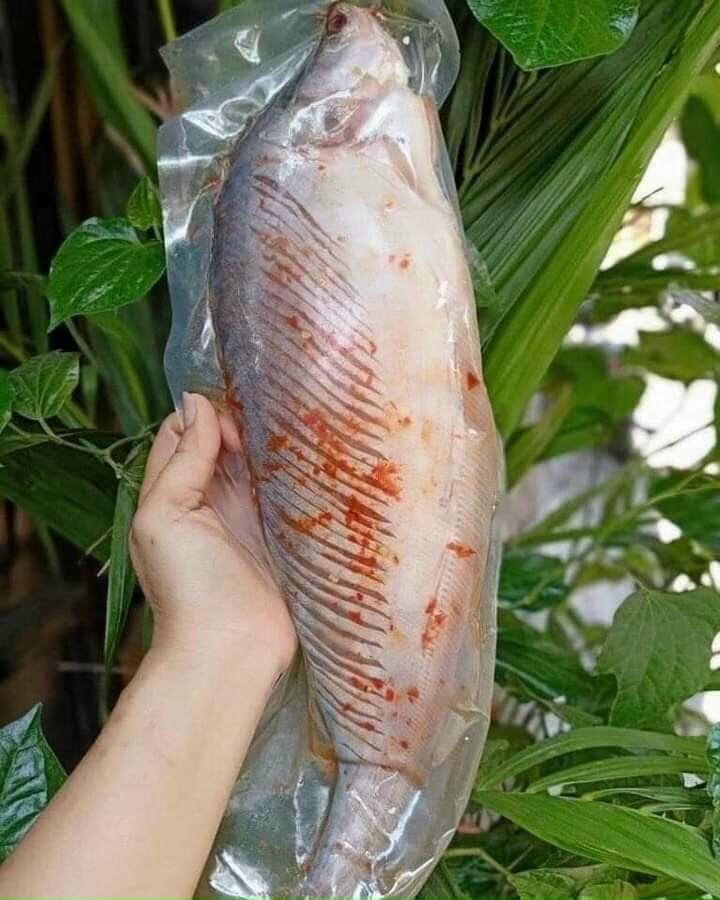 Cá thác lác rút xương con 260gr-300gr (giao tphcm)