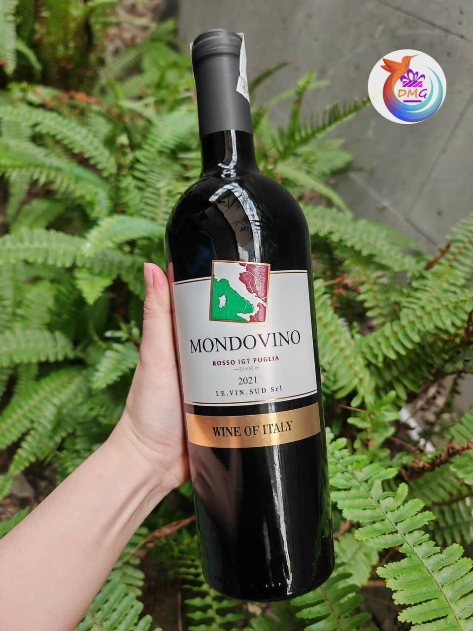 [NHẬP KHẨU] VANG ĐỎ (Ý) MONDOVINO– 750ML (14%) – DMG WINE