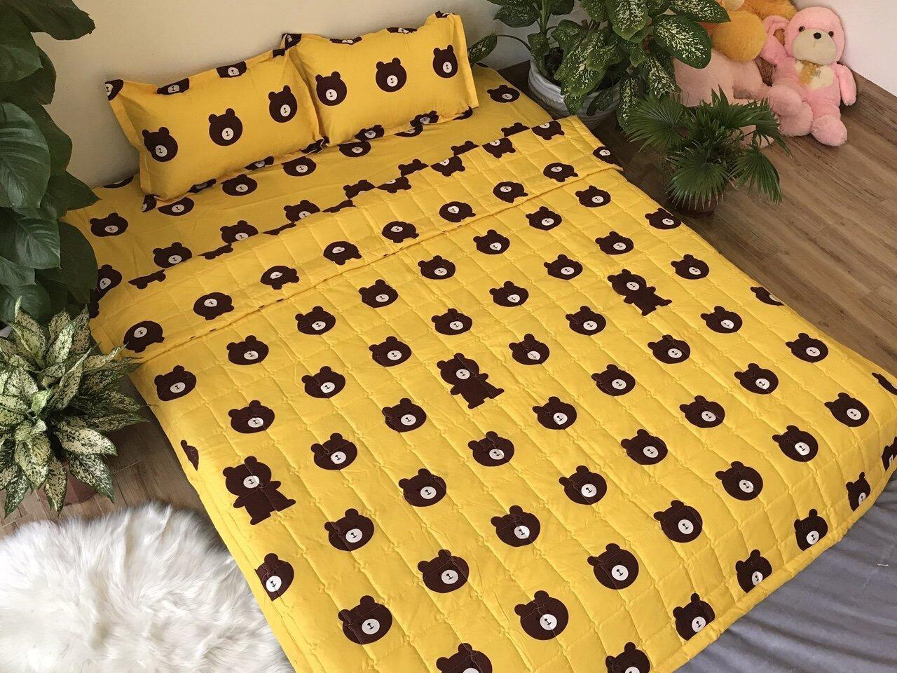 Set 5 món chăn hè - Ga chun - Áo Gối - Đủ Size (RVT)