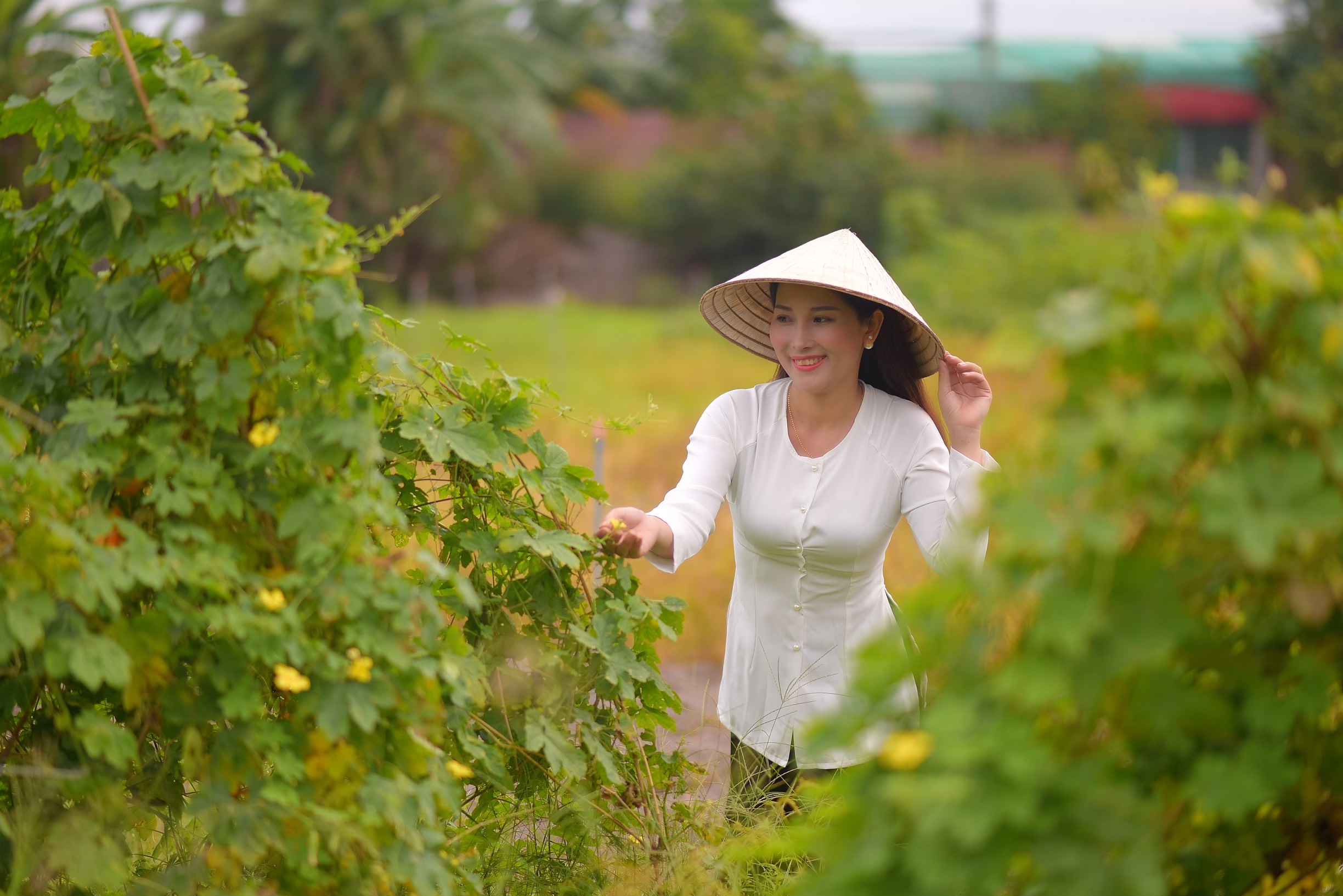 ÁO BÀ BA TRƠN CỔ TRÒN LỤA TẦM Ý (ÁO LẺ)