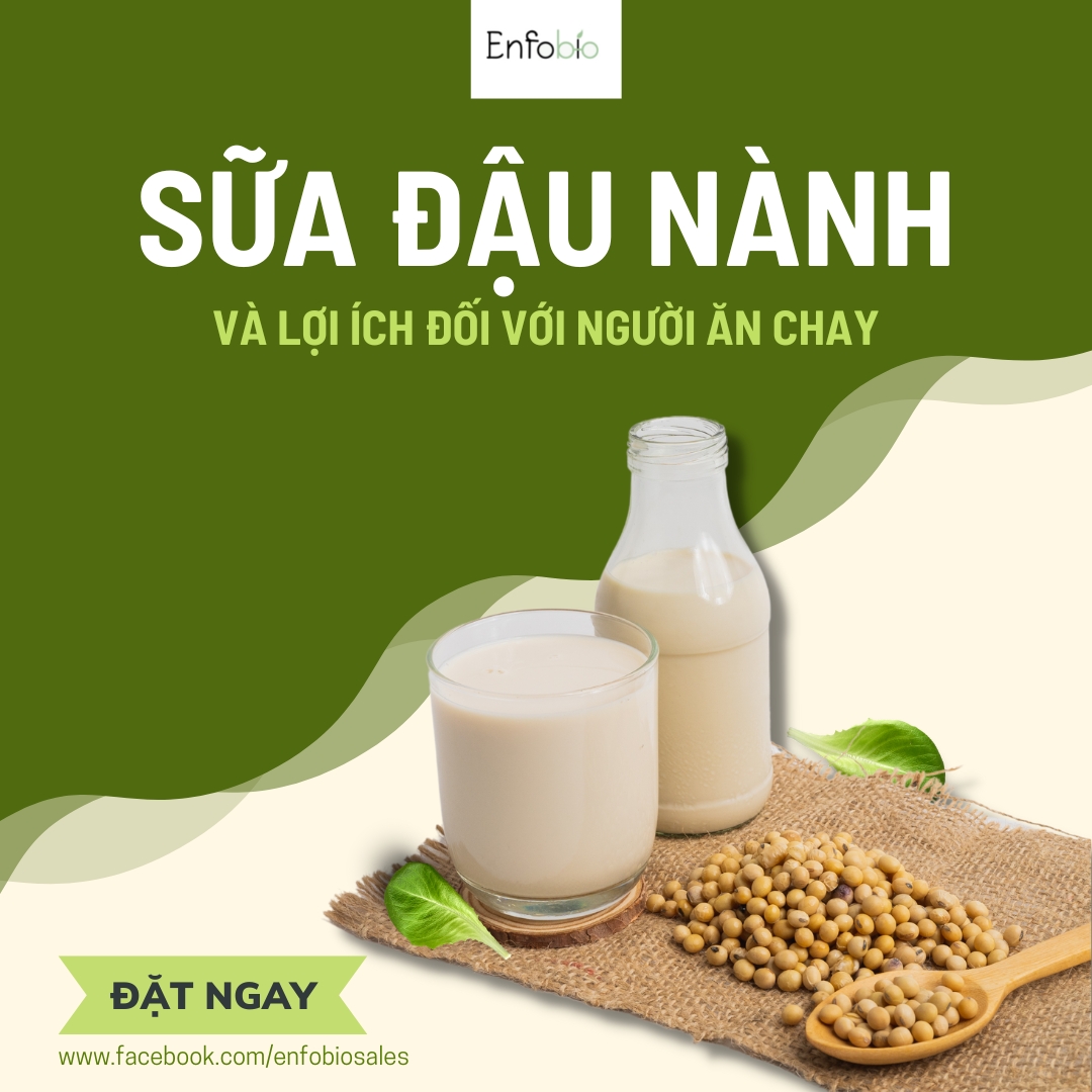 Bột sữa đậu nành hữu cơ nhập khẩu pha sẵn