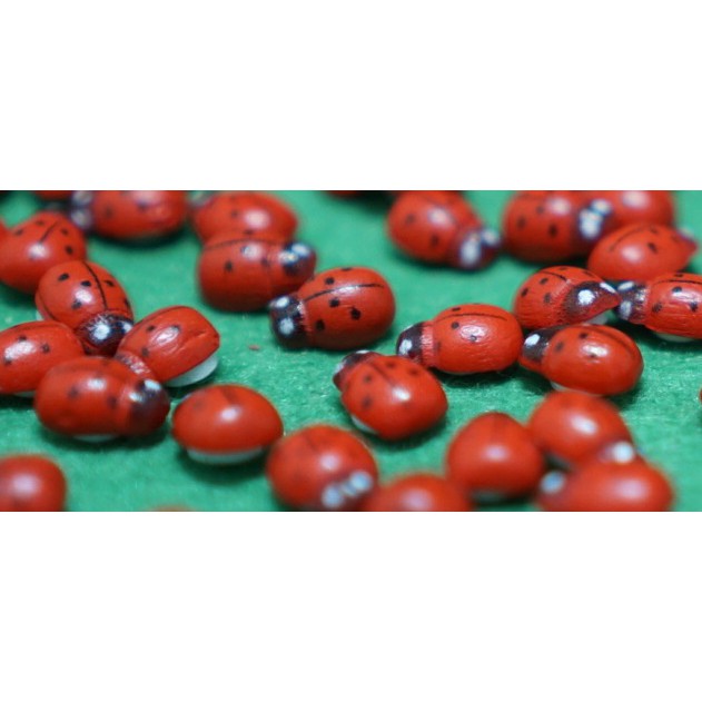 [HCM]Mô Hình Bọ Dừa Ladybug Trang Trí Tiểu Cảnh Miniature [1 cái ]