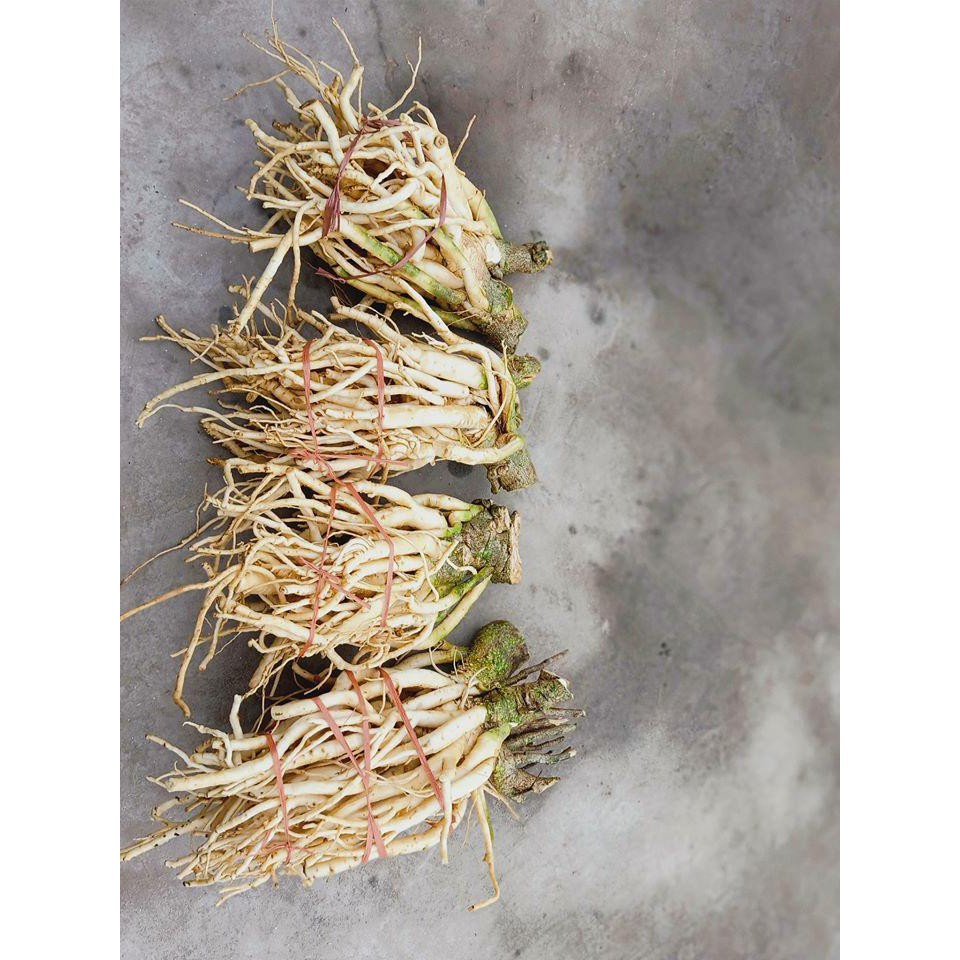 Củ Đinh Lăng 3kg (3kg/ 1 củ)