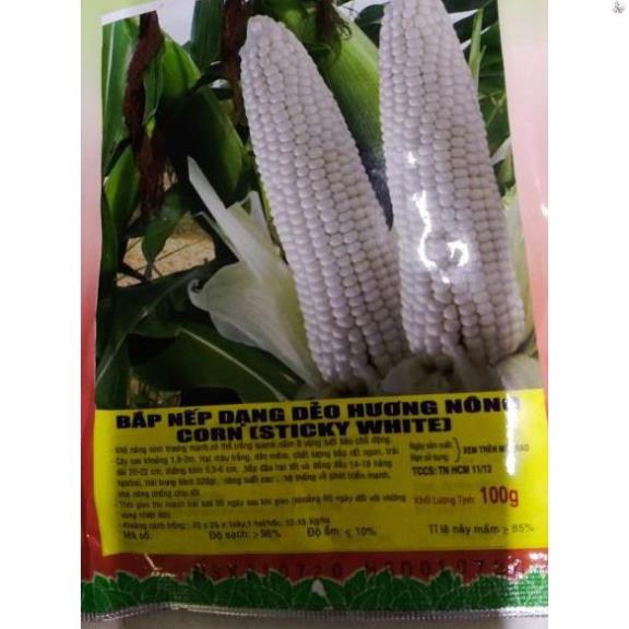 HẠT BẮP NẾP TRẮNG DẺO - GÓI 100 GRAM