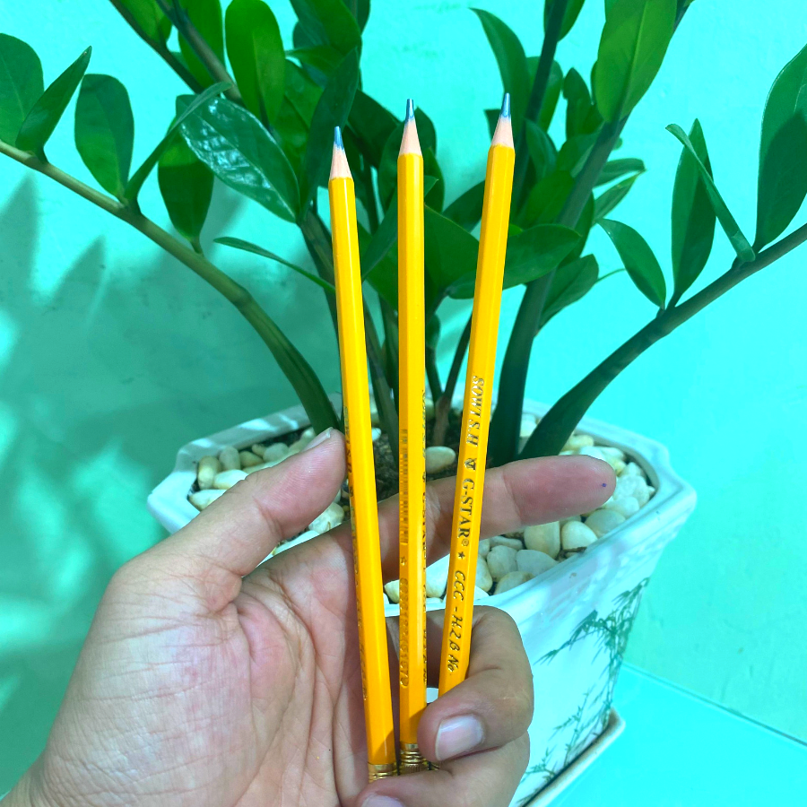 Hộp 12 Cây Bút Chì Dẻo CCC Gstar