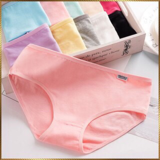 Combo 5-10 Quần Lót Cotton Pulo