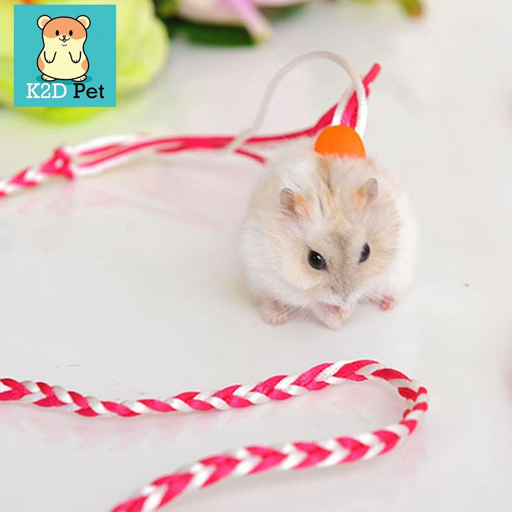 Dây dắt hamster thỏ Sóc  đuôi mập chuột lang