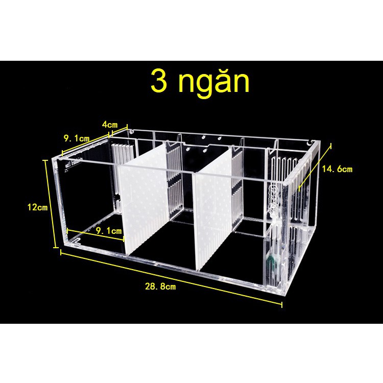 [hot sale]Hộp acrylic nuôi cá chọi betta 4 ngăn trong suốt
