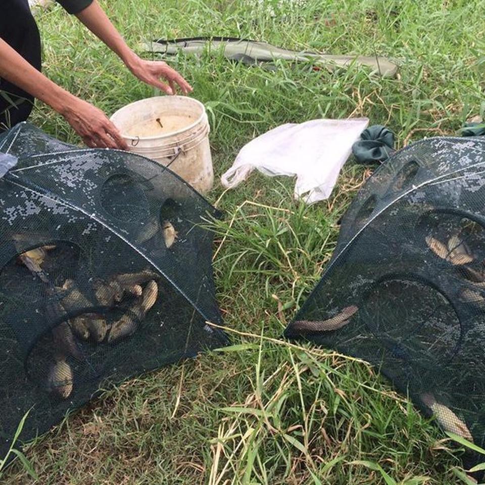 Lưới bát quái chuyên đánh bắt cá