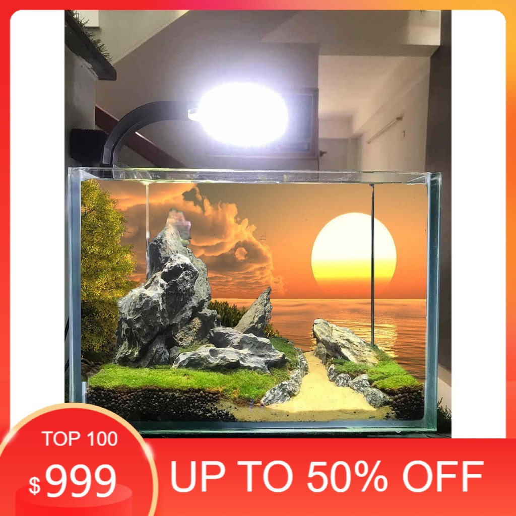Tranh 3d bể cá mã t4