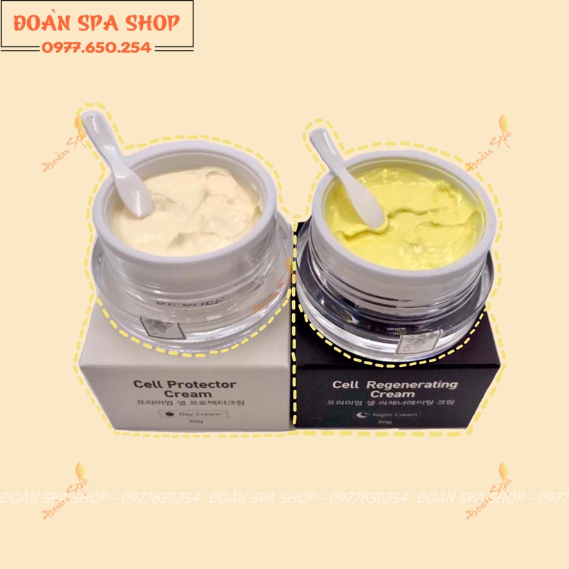 [Mẫu mới] KEM DƯỠNG DA BAN ĐÊM DR SHEE