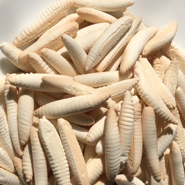 COMBO 2kg BÁNH CON SÂU/ BÁNH MEN