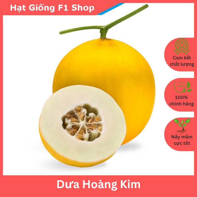 Hạt Giống Dưa Lê Hoàng Kim Lai F1 Sai Trái