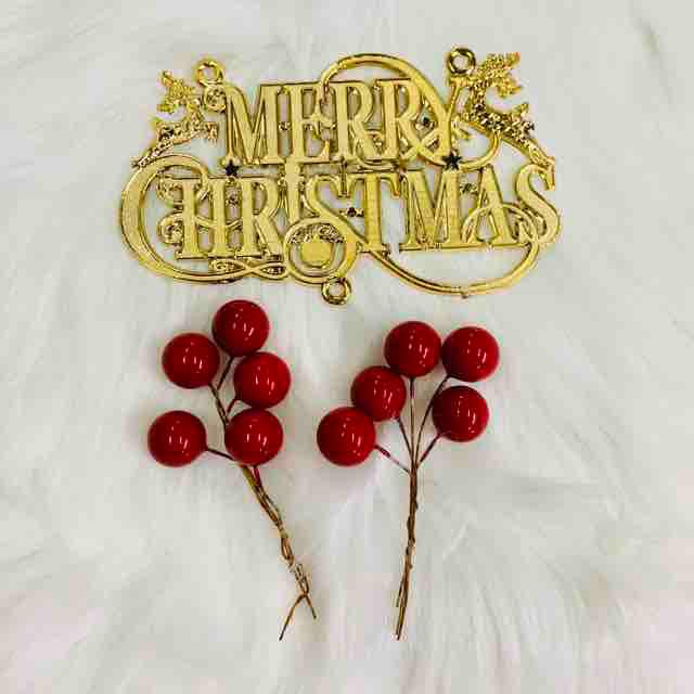 Set 10 món trang trí cây thông noel NO1