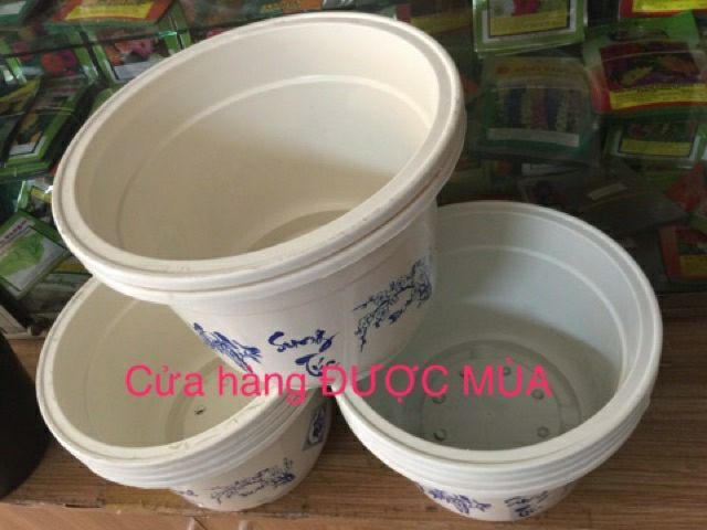 (bán sỉ)10 chậu in hoa 28x20cm