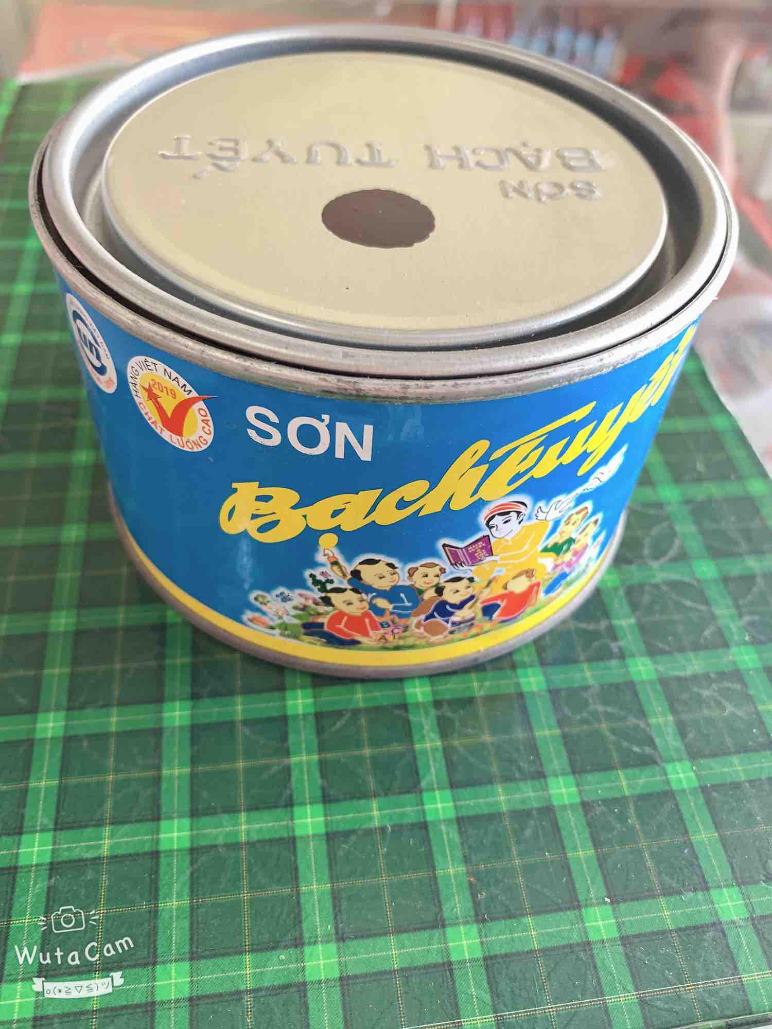 Sơn bạch tuyết màu nâu 836 (Ankyd bóng 800gr)