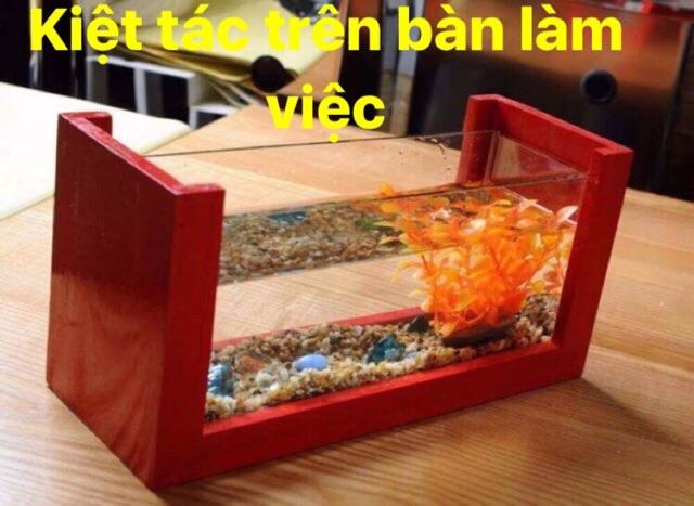 Bể cá mini khung gỗ màu đỏ tặng kèm thức ăn cá