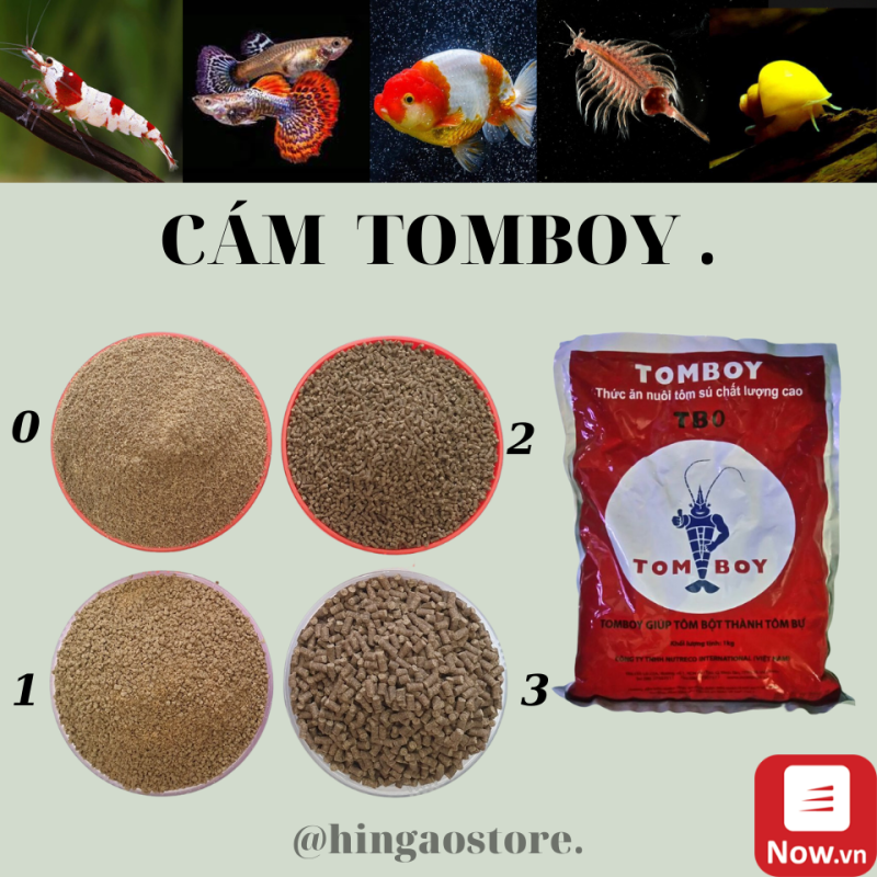 Cám TOMBOY TB0, TB1, TB2, TB3 - Thức ăn cho cá con, bobo, artemia sinh khối , tôm (hàng chiết) | Hingaostore.