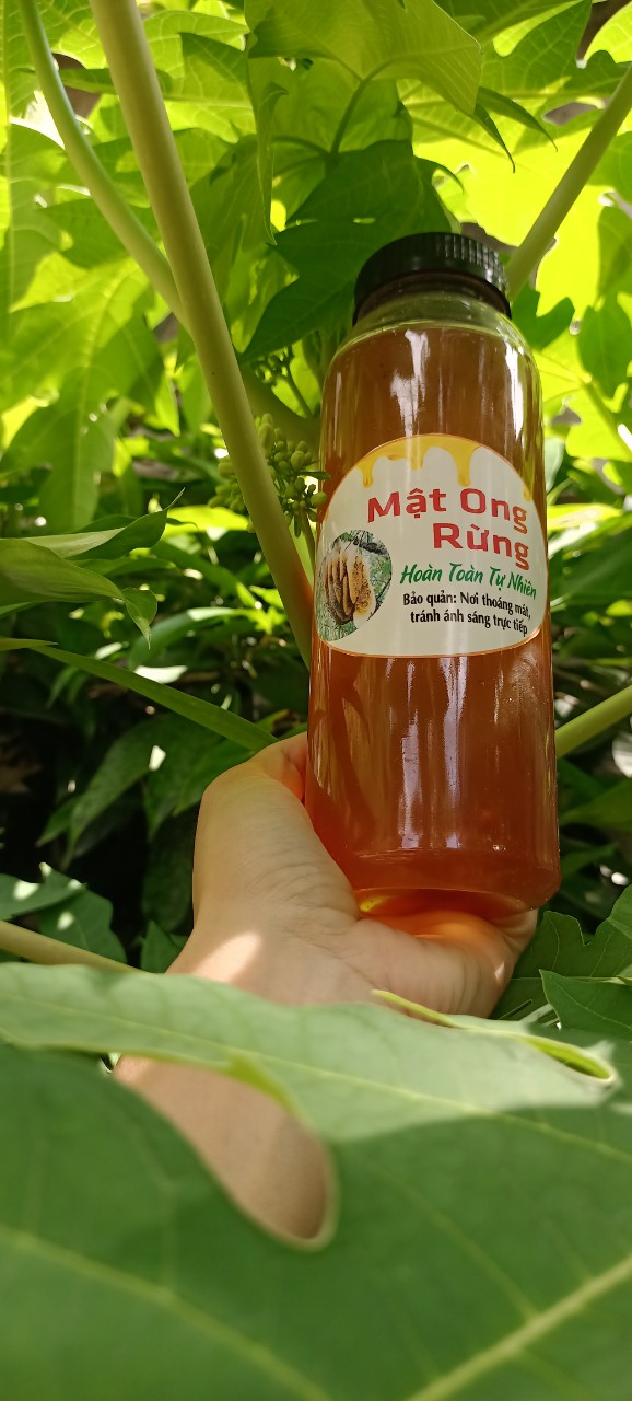 MẬT ONG RỪNG ( Cam kết chuẩn 100%)