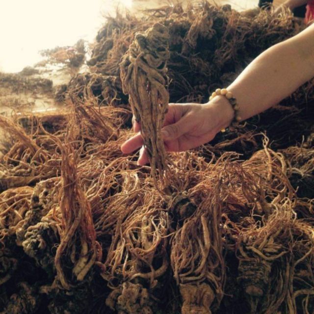 Sâm Đương Quy Khô 1kg