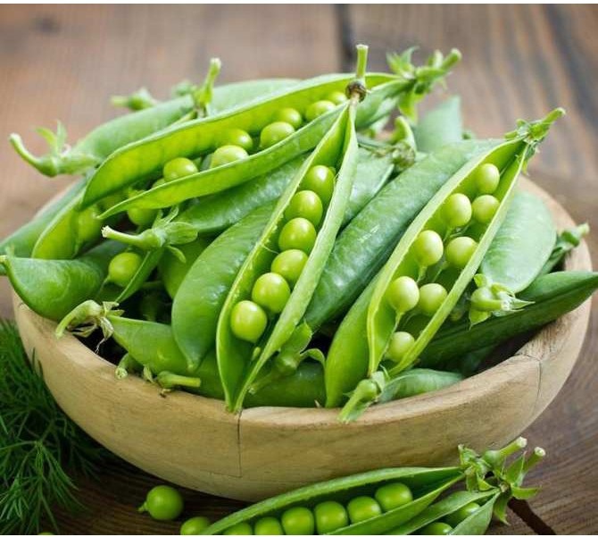 MA54B GÓI 10 Hạt giống Đậu Hà Lan dễ trồng năng suất 10 HẠT