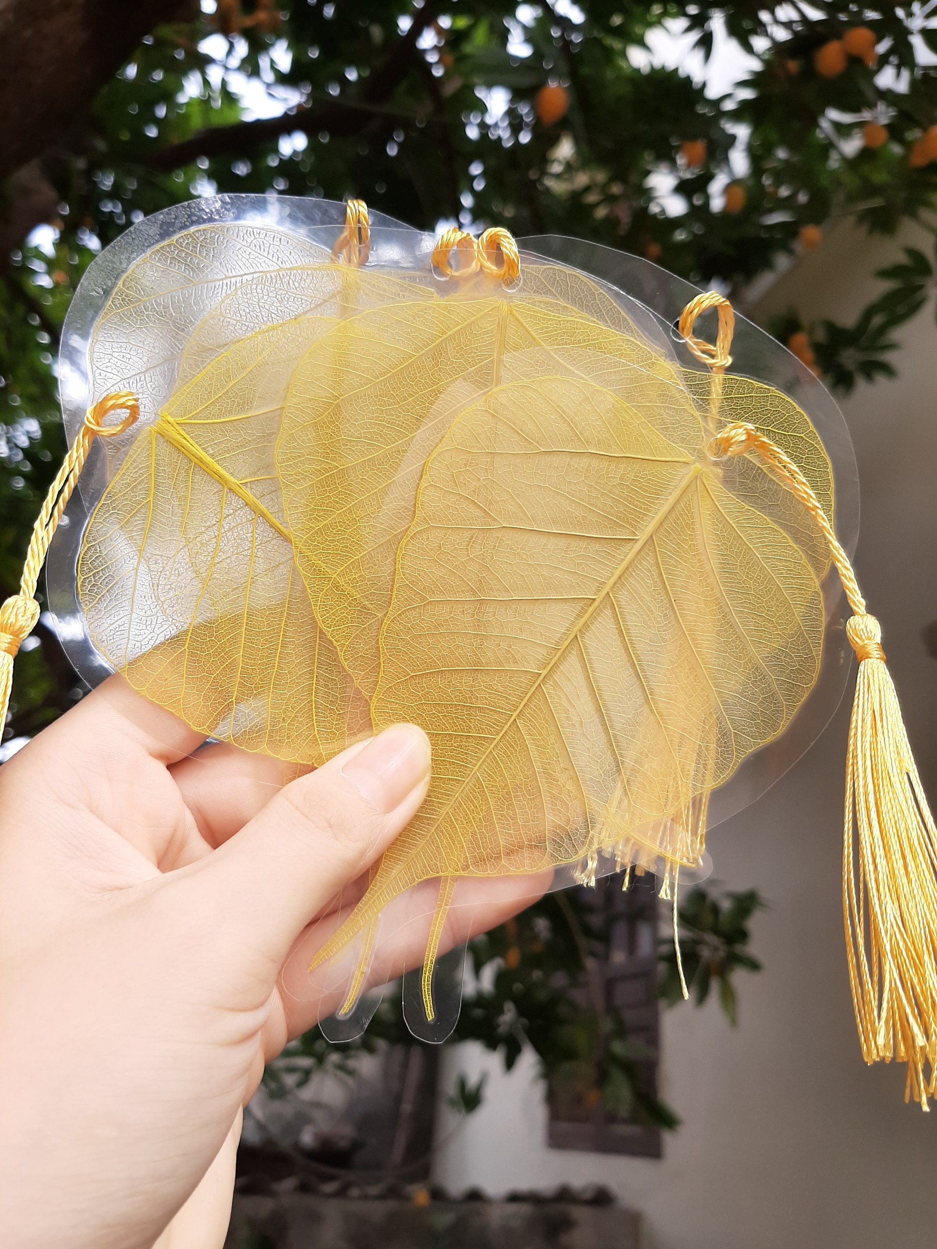 Lá bồ đề ép sẵn dùng để viết thư pháp size8-9cm