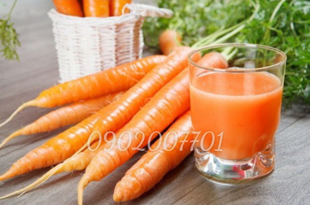 100g Bột cà rốt sấy lạnh nguyên chất 100%