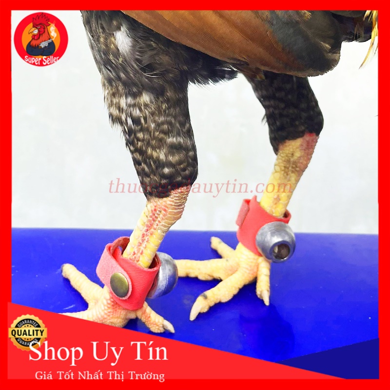 Tạ Chì Đeo Chân Gà Tre-Săn Cơ Giảm Mỡ
