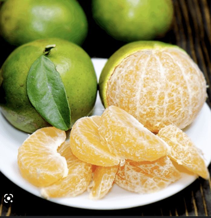 Cây Quýt đường ( quýt ngọt)