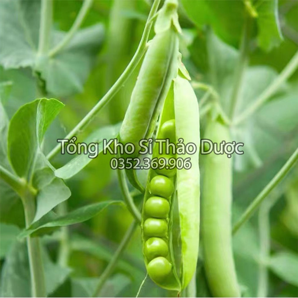 Đậu hà lan hữu cơ 500g (Hạt dinh dưỡng, dùng làm sữa hạt chế biến món ăn)