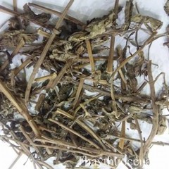 1 Kg Bạc Hà bột nguyên chất.