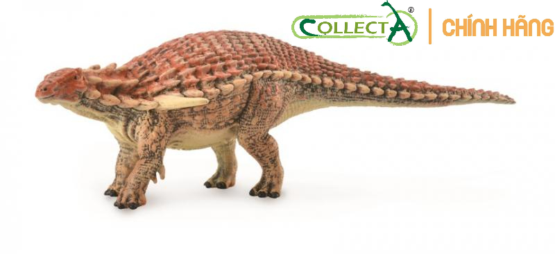 [CHÍNH HÃNG COLLECTA] MÔ HÌNH ĐỘNG VẬT: KHỦNG LONG BOREALOPELTA