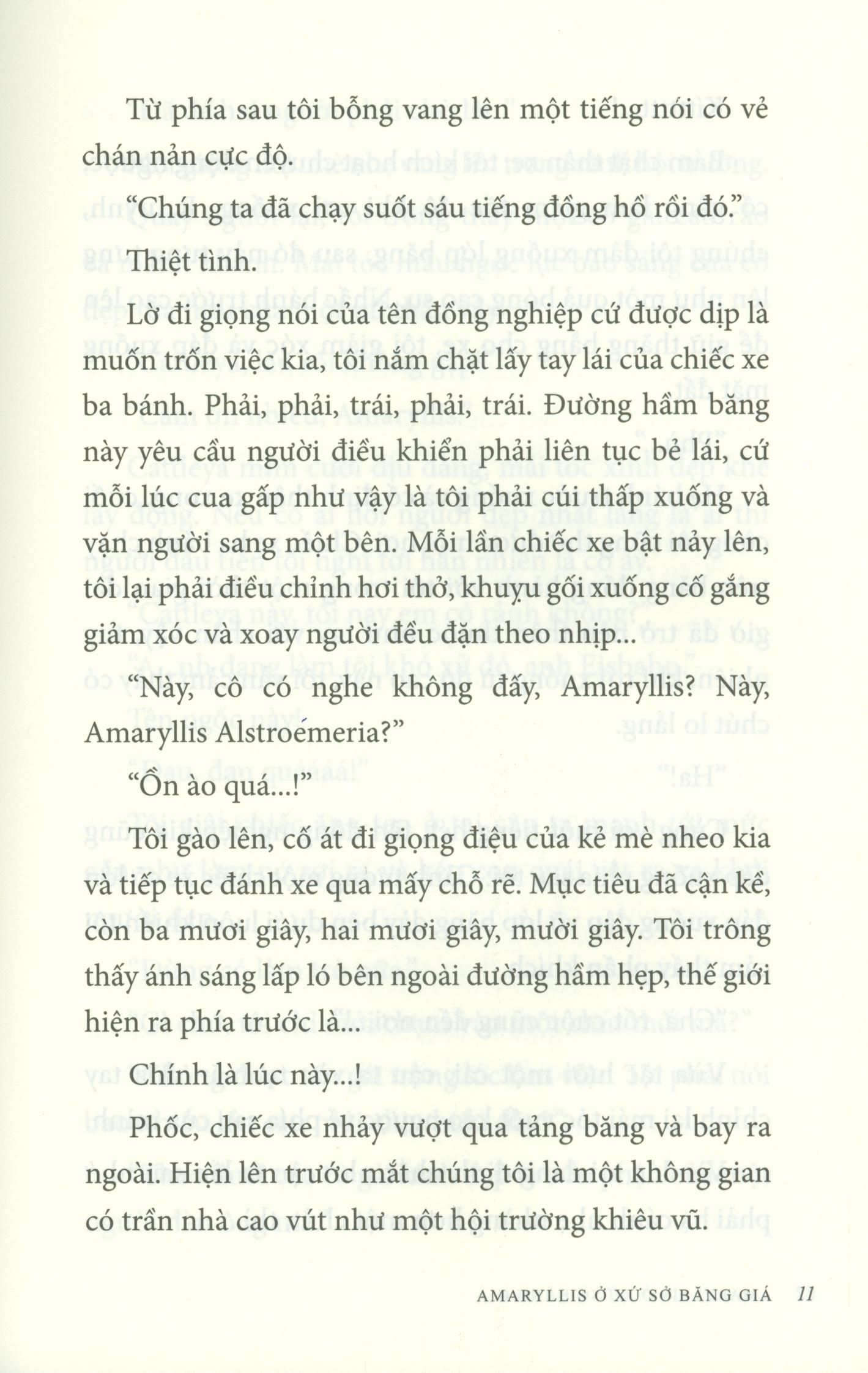 Amaryllis Ở Xứ Sở Băng Giá