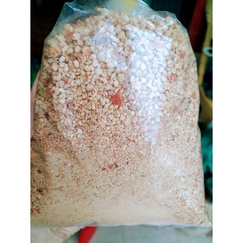 500G Muối Ớt Ngọc Châu Hạt Lớn