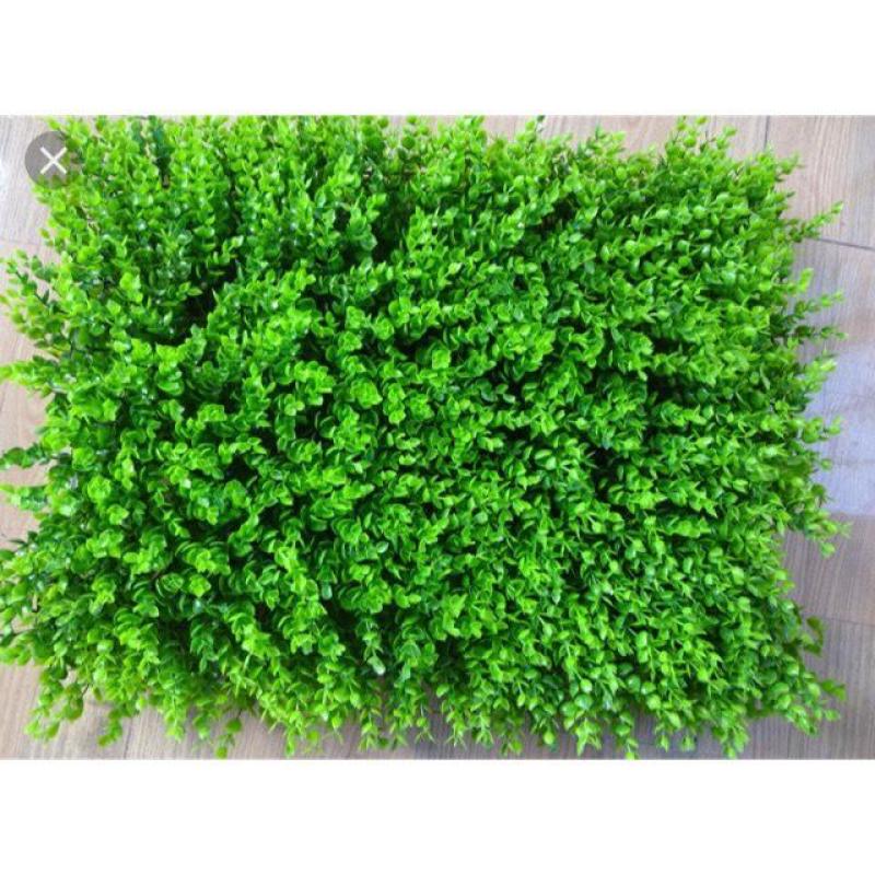 thảm cỏ chuột trang trí sự kiện cửa hàng