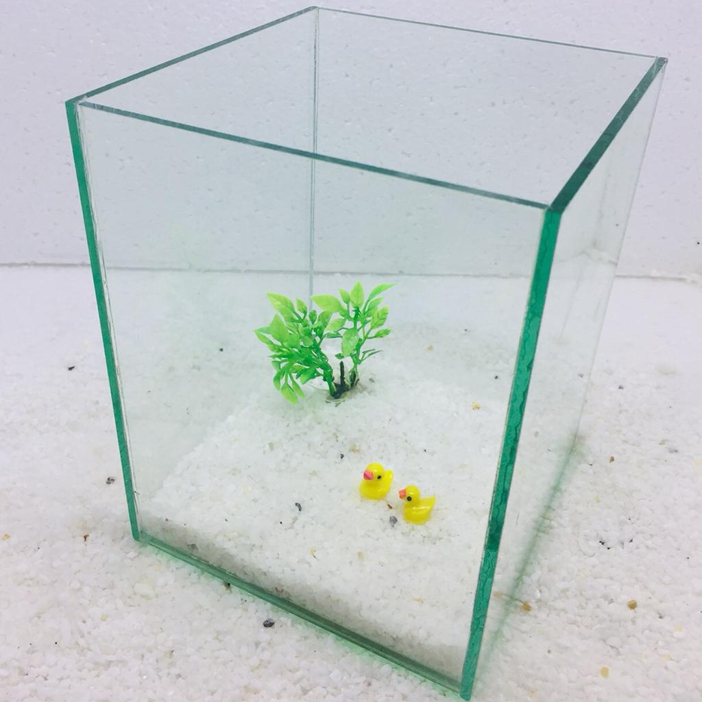 Bể cá mini để bàn , bể cá thủy sinh mini 18x18x23cm