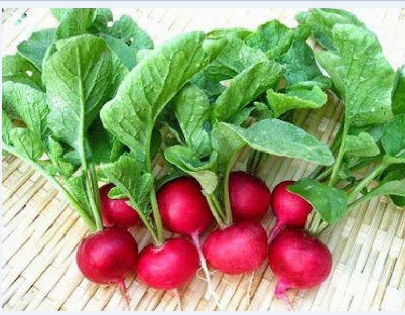 Tiny Red Radish Seeds - 5Gram Pack