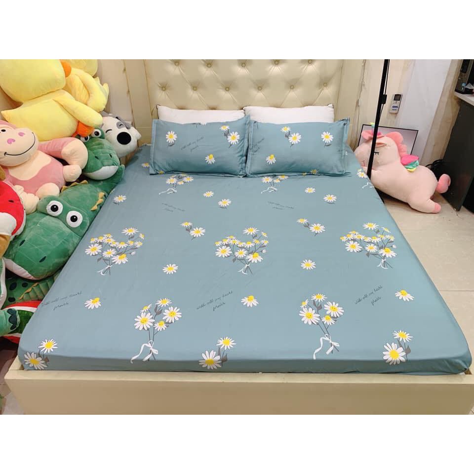 Bộ ga gối cotton poly - cúc hoạ mi