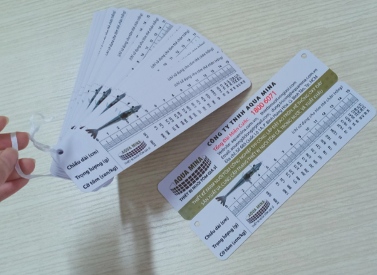 2 Cây thước đo tôm thẻ bằng nhựa