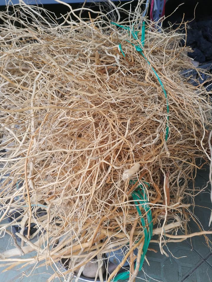 Lũa Rễ Rừng dẻo 100g - Lũa Setup Bể Thuỷ Sinh