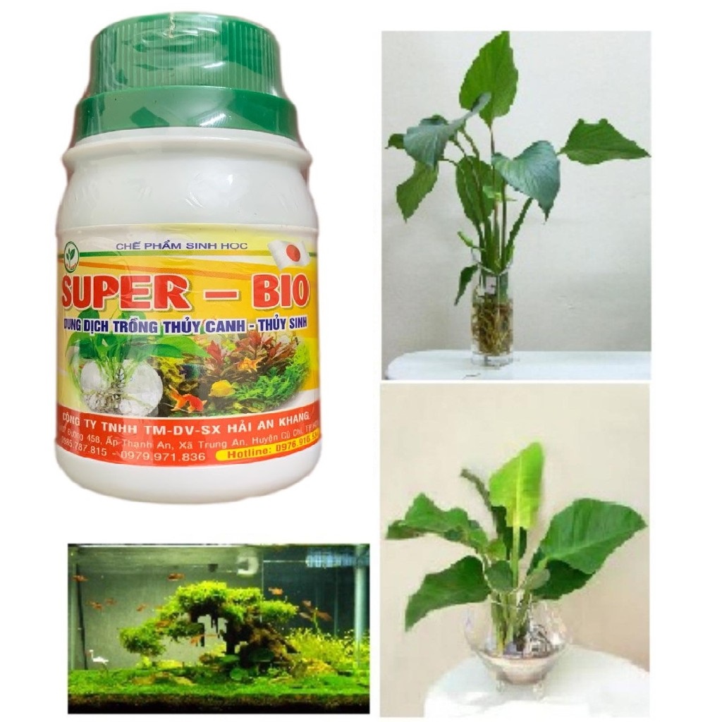 Dung dịch thủy canh super bio 100ml cho cây thủy sinh, thủy cảnh - rẻ vô địch