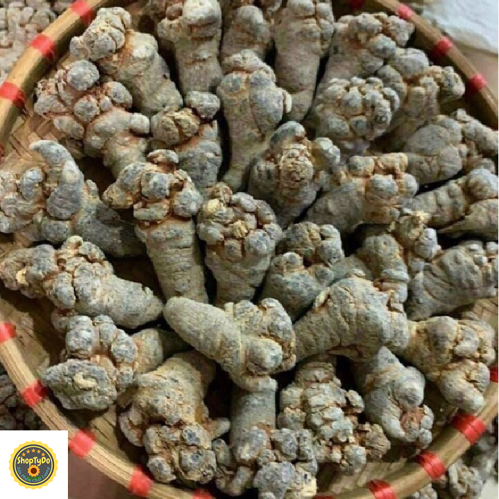 Củ Tam Thất Bắc Rừng thượng hạng khô 100 gram (loại 6-8 củ)