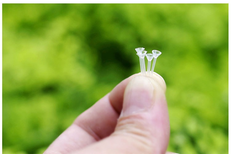 Đế ghim tiểu cảnh lên đất, sân vườn, sen đá
