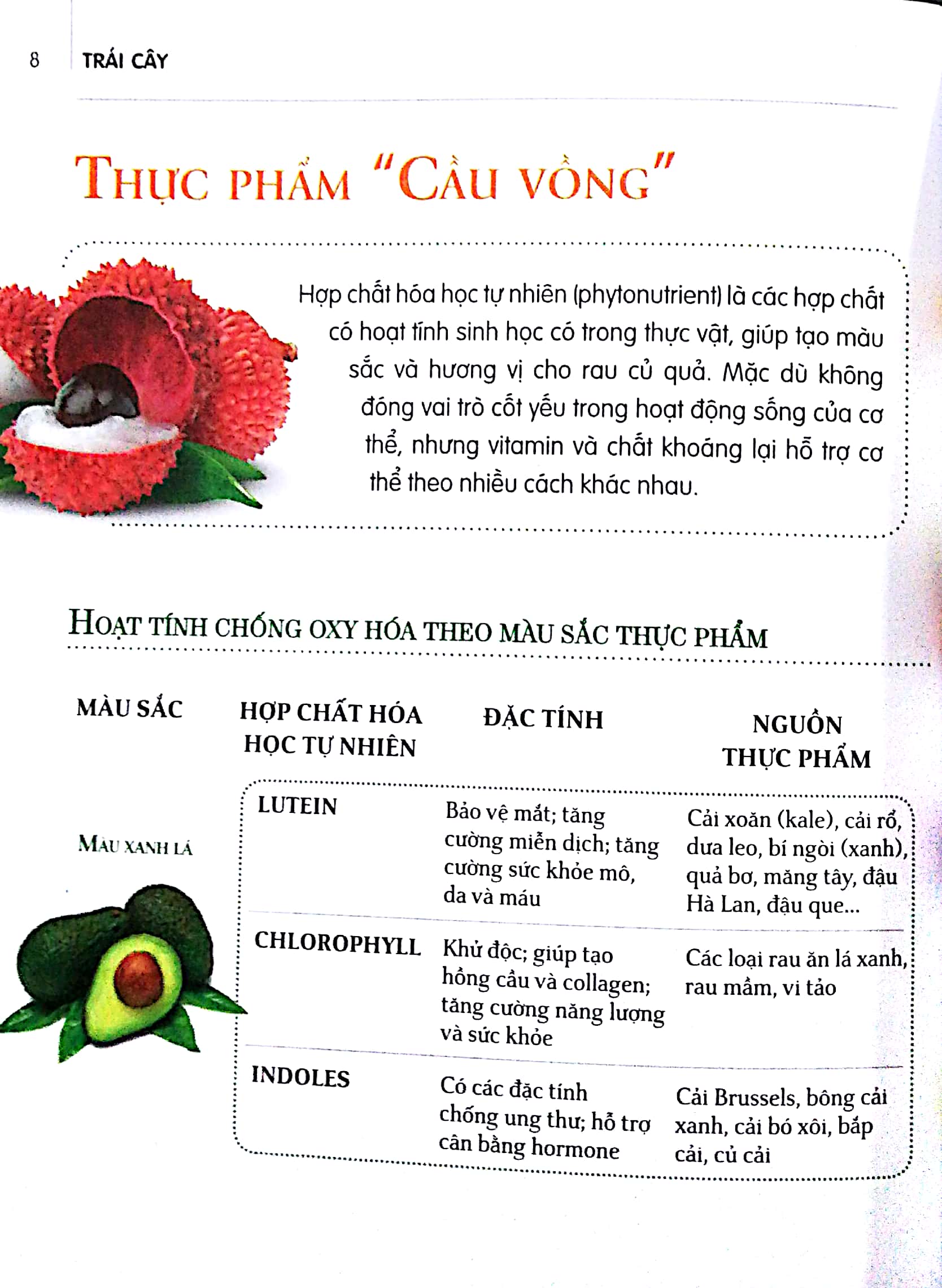 Sách - Dinh Dưỡng Chữa Bệnh - Trái Cây