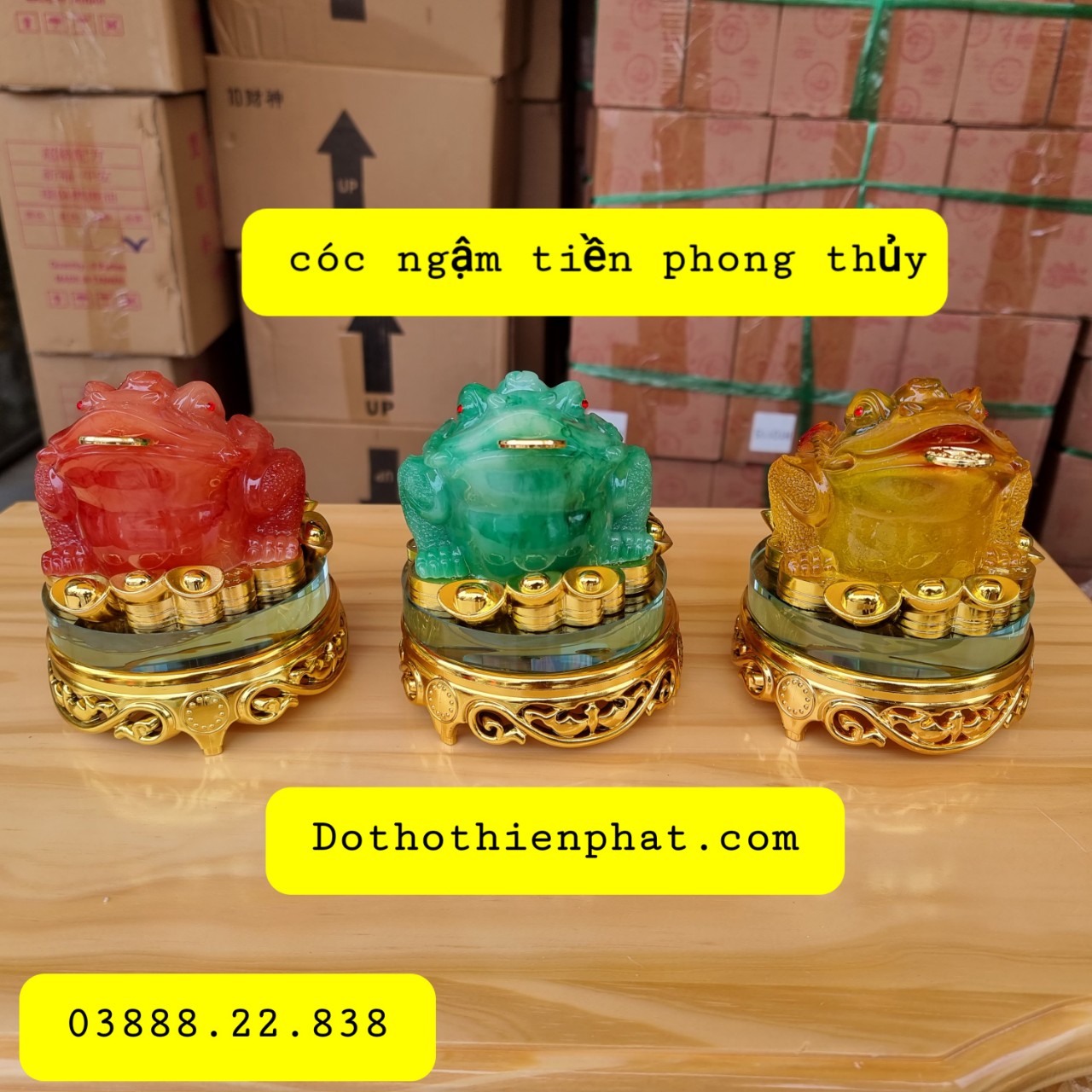 Cóc Ngậm Tiền Phong Thủy loại 1