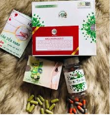COMBO 10 hộp GIẢM CÂN TIẾN HẠNH